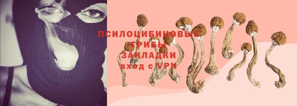 СК Аркадак