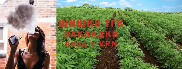 ГАЛЛЮЦИНОГЕННЫЕ ГРИБЫ Дмитриев
