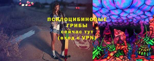 spice Арсеньев