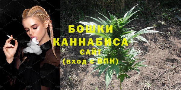 СК Аркадак