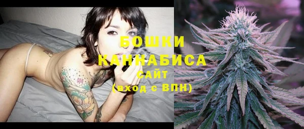 СК Аркадак