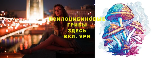 spice Арсеньев