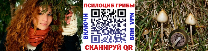 купить наркоту  ОМГ ОМГ зеркало  Псилоцибиновые грибы ЛСД  площадка состав  Омутнинск 